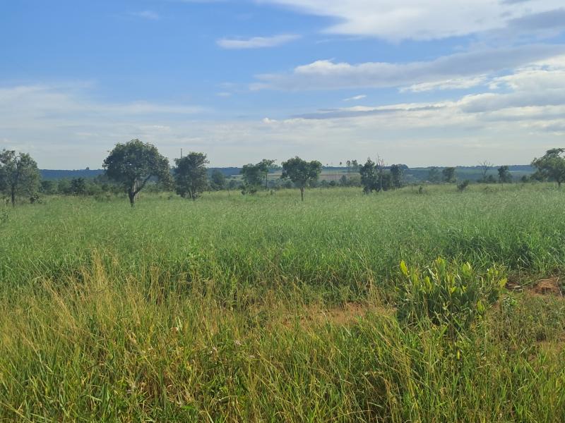 TERRENO 20.000 METROS ÁREA RURAL